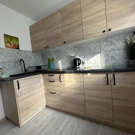 Tradycyjne Mieszkanie Przy Parku Norweskim