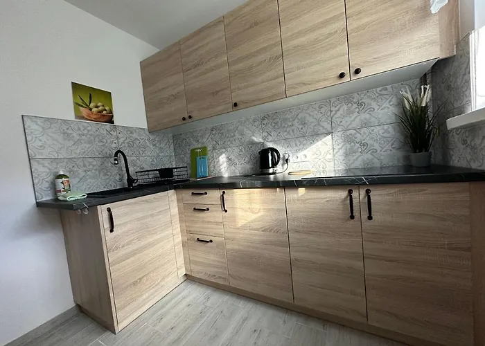 Tradycyjne Mieszkanie Przy Parku Norweskim